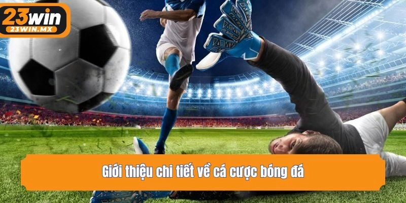Giới thiệu chi tiết về cá cược bóng đá
