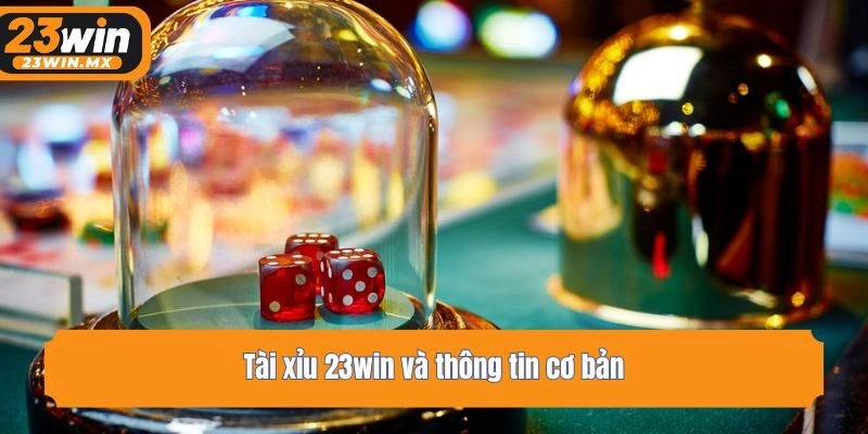 Tài xỉu 23win và thông tin cơ bản